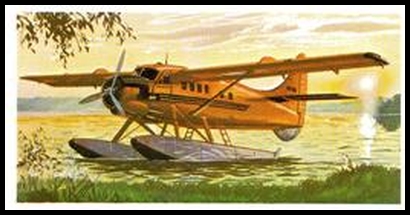 38 de Havilland Canada Otter